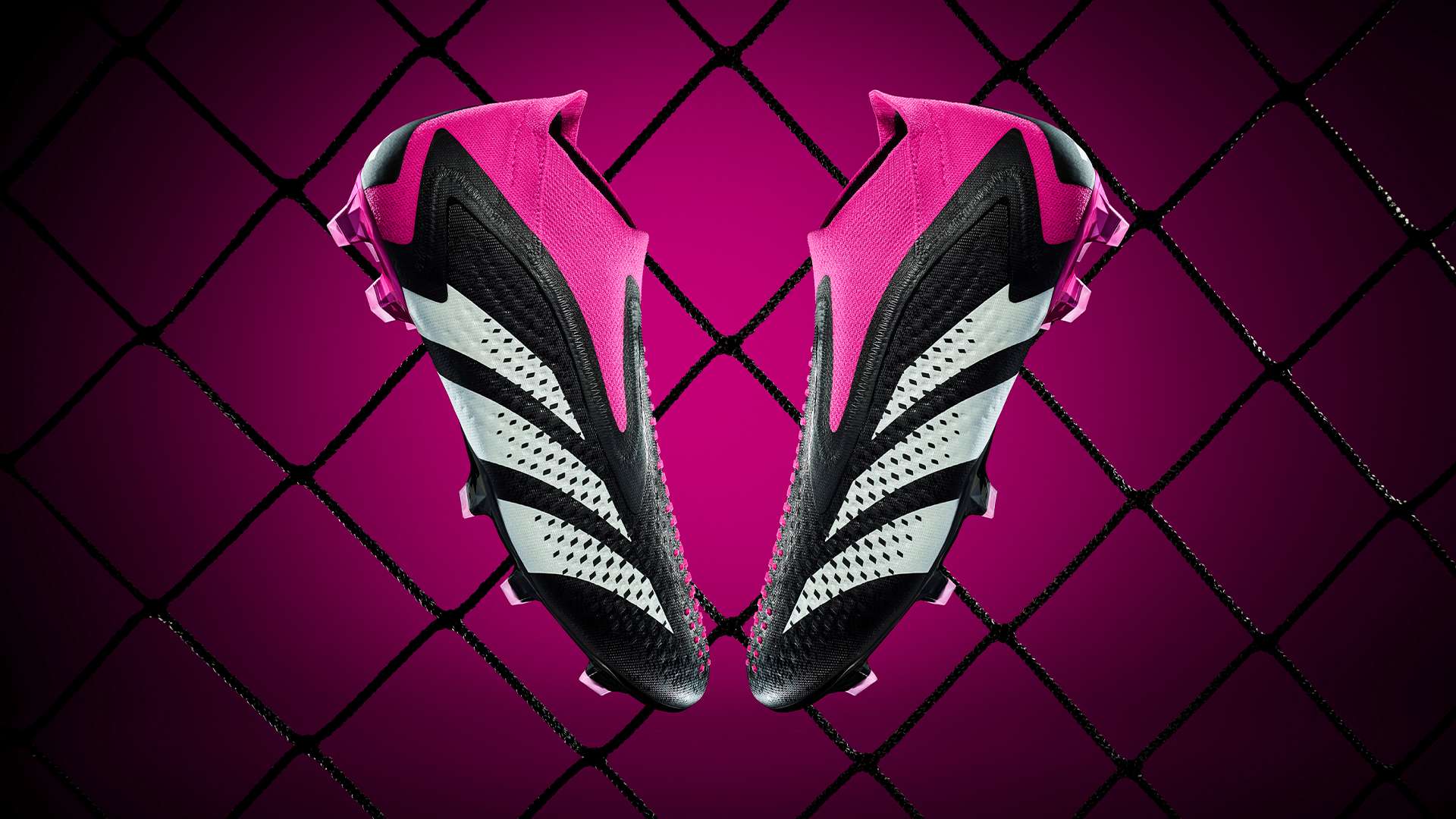 变化训练 变化训练