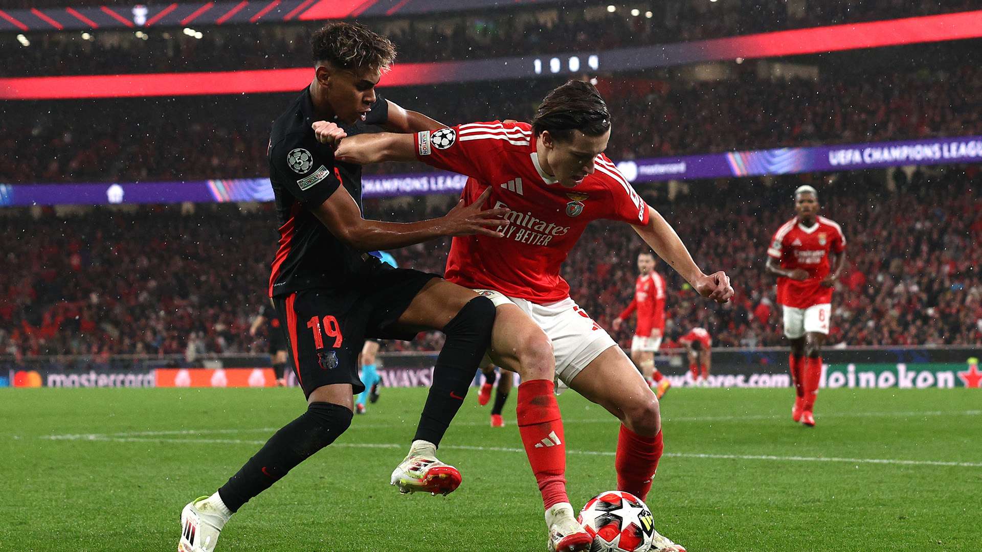 素对双方发 素对双方发